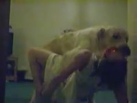 Sexy teen beastiality sex with a huge dog